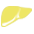 肝膽專(zhuān)科