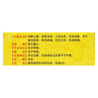 中華跌打丸(6g*6s) 中華跌打丸(6g*6s)