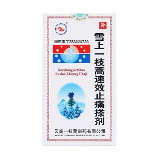 雪上一枝蒿速效止痛搽劑(東春)