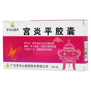 宮炎平膠囊(羅浮山) 宮炎平膠囊(羅浮山)