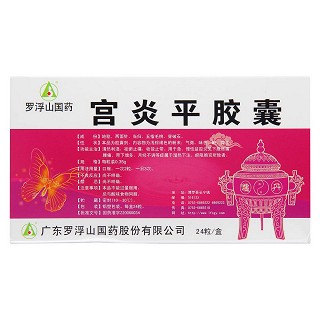 宮炎平膠囊(0.35g*24s) 宮炎平膠囊(0.35g*24s)