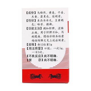 固腸止瀉丸(涇渭) 固腸止瀉丸(涇渭)