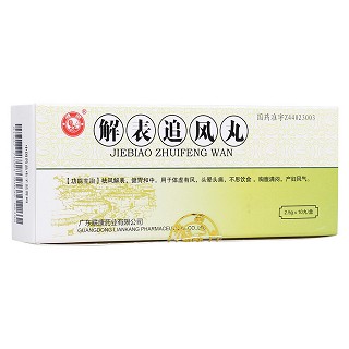 解表追風丸(雄獅)