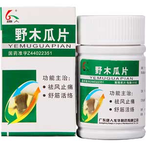 野木瓜片(康人龍華)