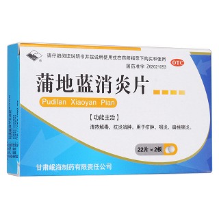 蒲地藍(lán)消炎片 蒲地藍(lán)消炎片