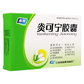 炎可寧膠囊(桑海) 炎可寧膠囊(桑海)