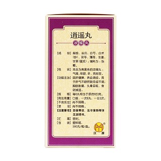 逍遙丸 (天洋)