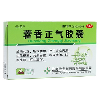 藿香正氣膠囊(云龍)