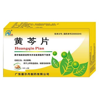 黃芩片(奕凱) 黃芩片(奕凱)