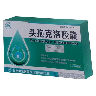 頭孢克洛膠囊 (白云泰商丘)