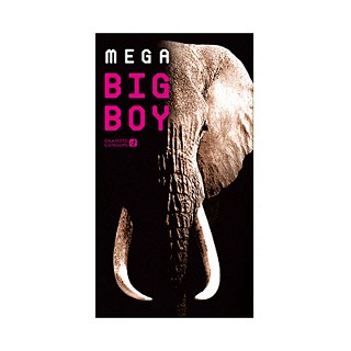 mega big boy xl size(岡本)