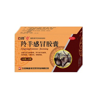 羚羊感冒膠囊(石藥永豐)