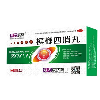 檳榔四消丸(辰濟(jì))