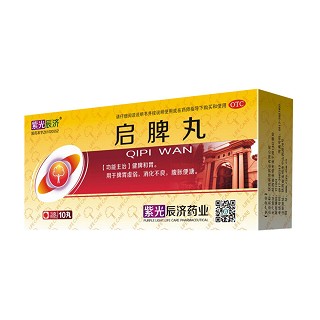 啟脾丸(辰濟)