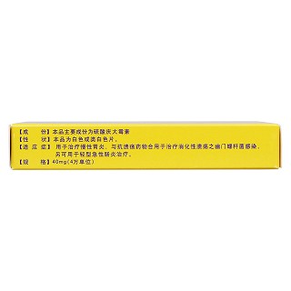 硫酸慶大霉素緩釋片(江西制藥) 硫酸慶大霉素緩釋片(江西制藥)