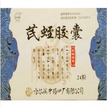 芪蛭膠囊(天戈)