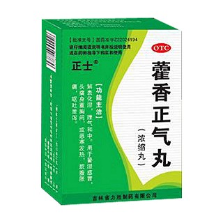藿香正氣丸(濃縮丸)