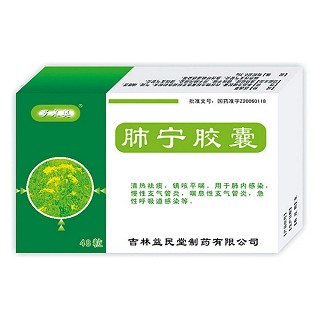 肺寧膠囊(益民堂) 肺寧膠囊(益民堂)