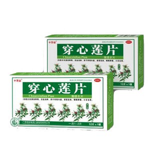 穿心蓮片(十萬山)