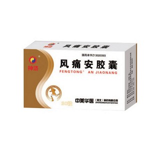 風(fēng)痛安膠囊(神濟)