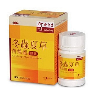 蟲草菌絲體(余仁生) 蟲草菌絲體(余仁生)