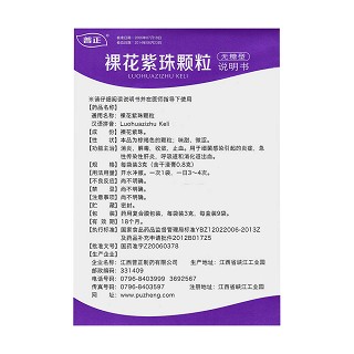 裸花紫珠顆粒功效作用廠家