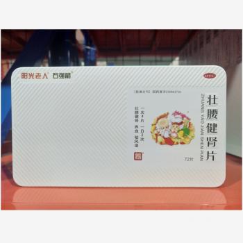 壯腰健腎片(百善)