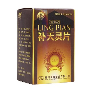 補天靈片(錦塔)
