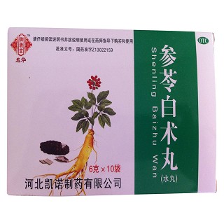參苓白術(shù)丸 參苓白術(shù)丸