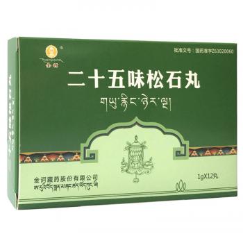 二十五味松石丸(金訶) 二十五味松石丸(金訶)