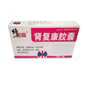 腎復(fù)康膠囊(修正)