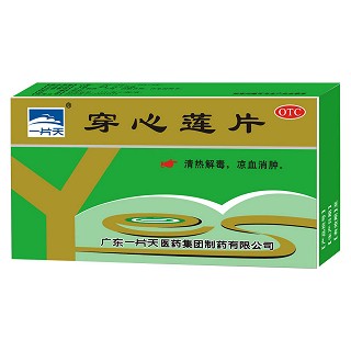 穿心蓮片(一片天)