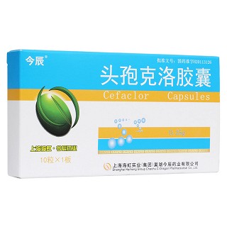 頭孢克洛膠囊