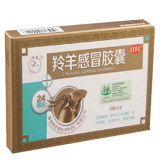 羚羊感冒膠囊(生物化學(xué)制)