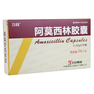 阿莫西林膠囊(石藥)