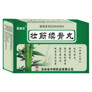 壯筋續(xù)骨丸(普林松) 壯筋續(xù)骨丸(普林松)