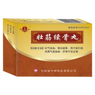 壯筋續(xù)骨丸(飛瀑) 壯筋續(xù)骨丸(飛瀑)