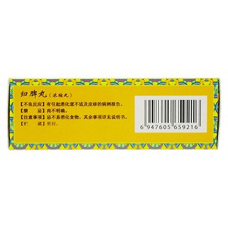 歸脾丸(上龍)