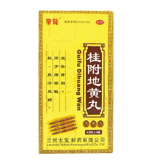 桂附地黃丸 桂附地黃丸
