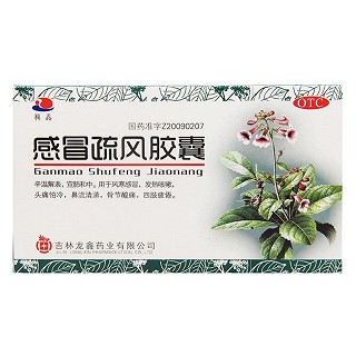 感冒疏風(fēng)膠囊(龍鑫)