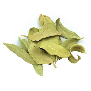 羅布麻葉(統(tǒng))