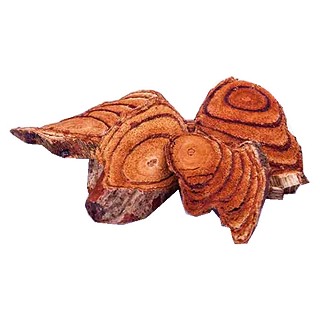 大血藤(統(tǒng)片)