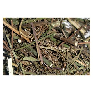 竹葉柴胡(統(tǒng)段)