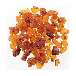 醋乳香(新荷花)