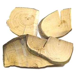 毛冬青(統(tǒng)片)