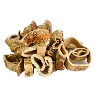 桑白皮(金貴中藥)