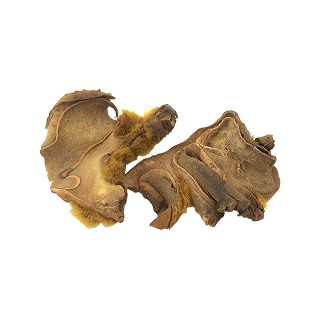 狗脊(統(tǒng)片)