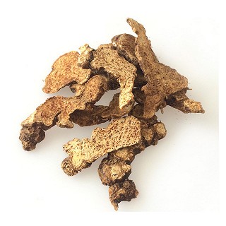 蒼術(shù)(統(tǒng)片)