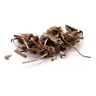 車前草(統(tǒng)段)