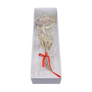 天山雪蓮(禮盒)